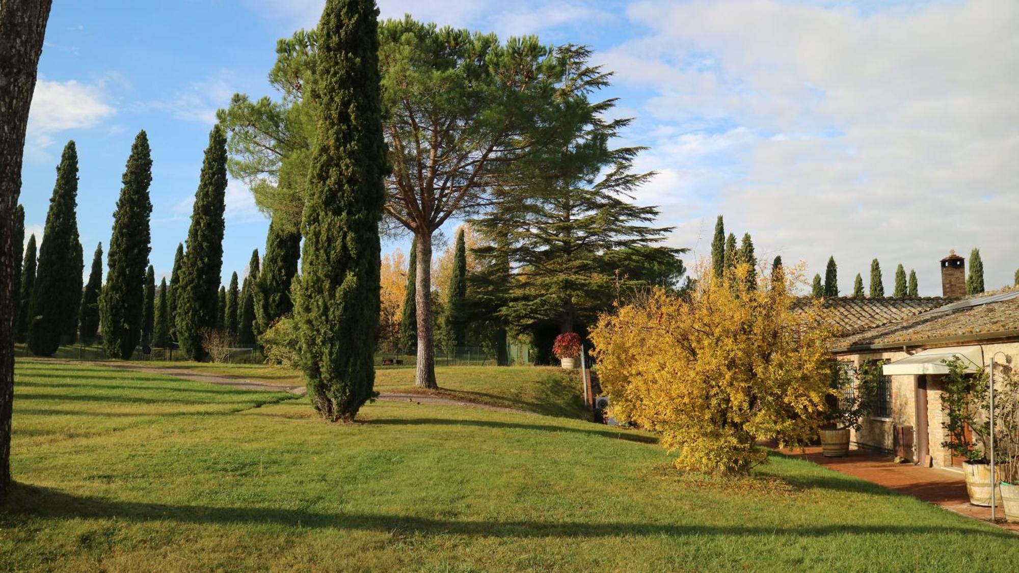 Agriturismo La Sovana Sarteano Εξωτερικό φωτογραφία
