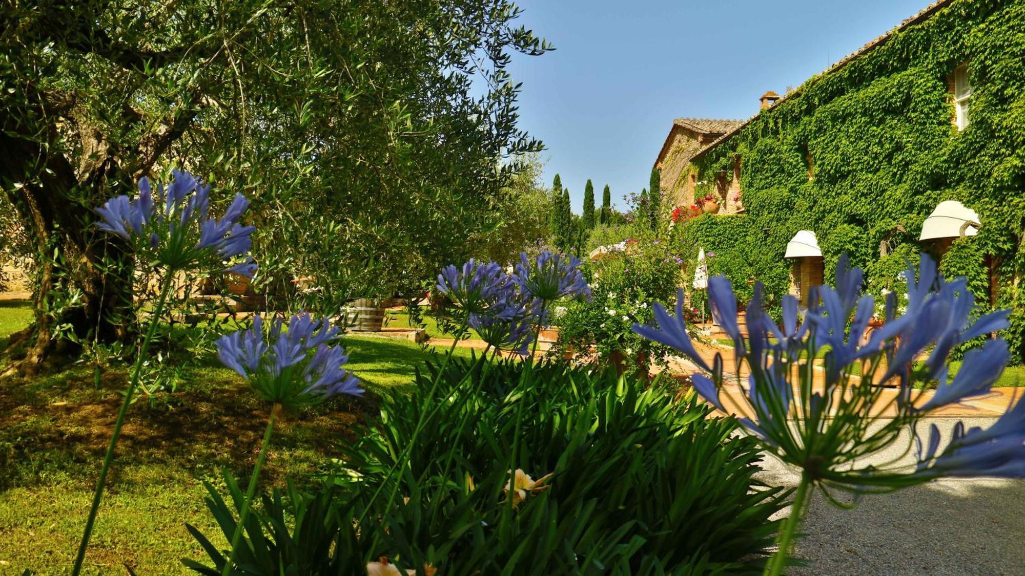 Agriturismo La Sovana Sarteano Εξωτερικό φωτογραφία