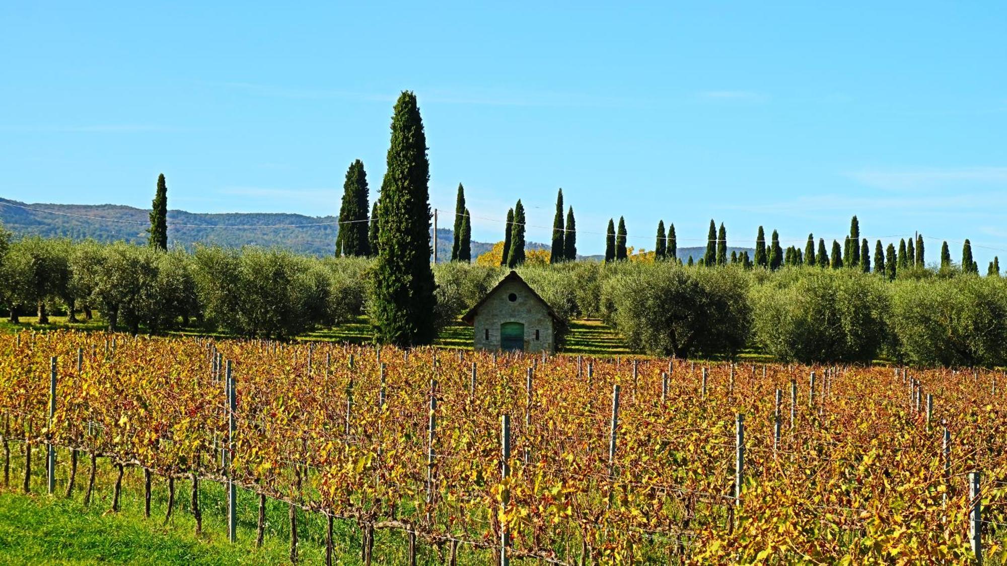 Agriturismo La Sovana Sarteano Εξωτερικό φωτογραφία