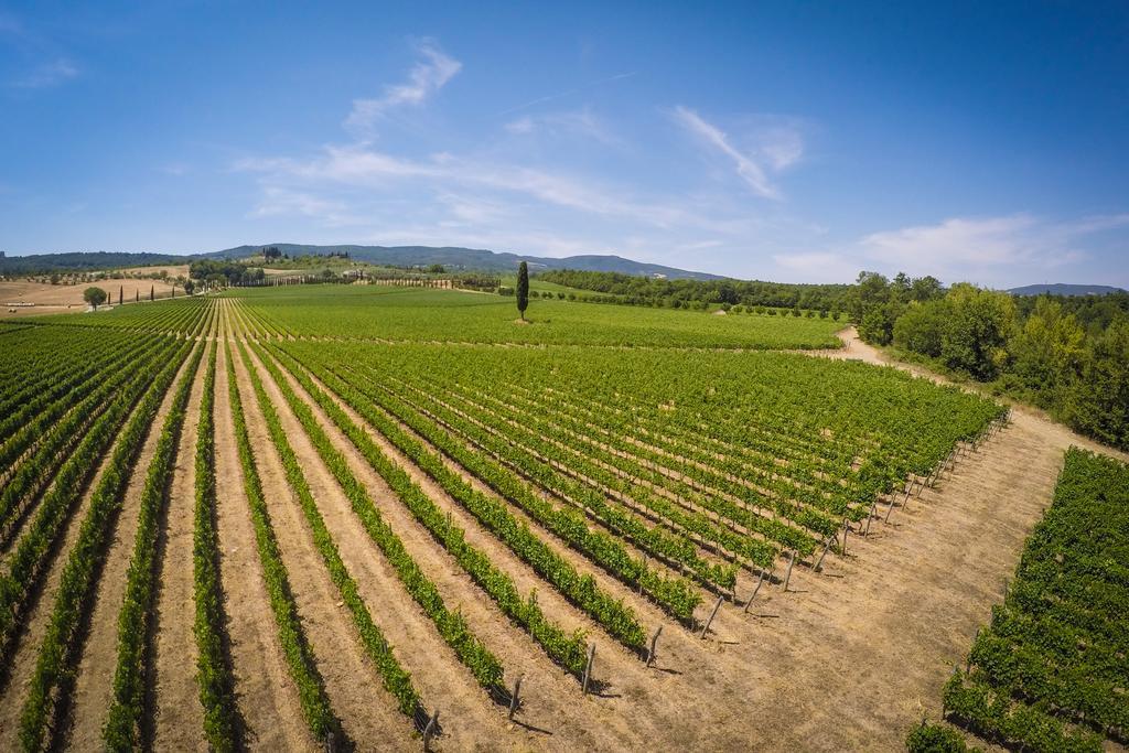 Agriturismo La Sovana Sarteano Εξωτερικό φωτογραφία