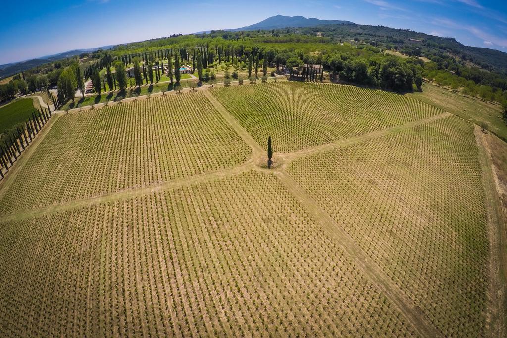 Agriturismo La Sovana Sarteano Εξωτερικό φωτογραφία